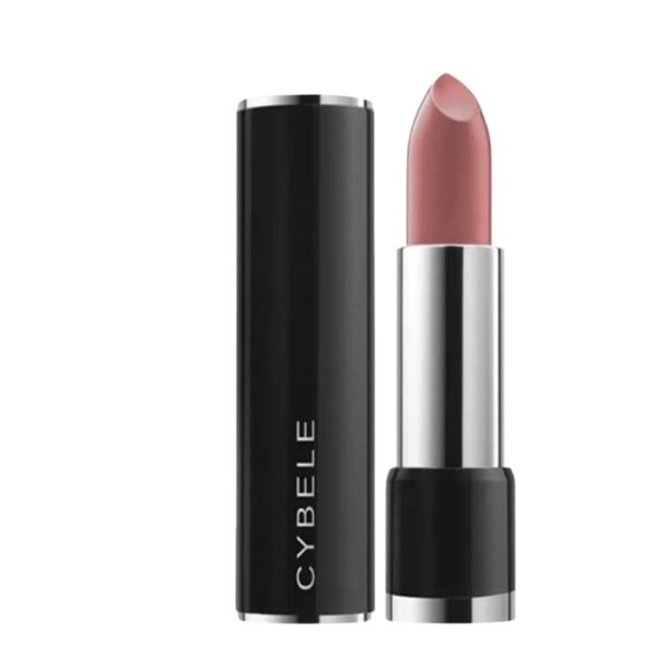 Sybele Old Pink Matte Lipstick - 301 Matte 5g